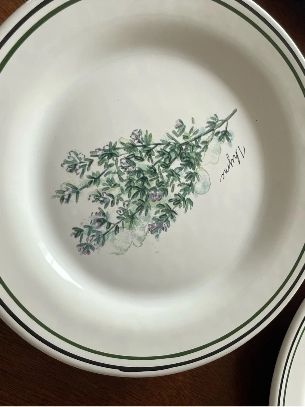 WILLIAMS SONOMA Portugal HERBS SALAD PLATES set of 4 Bay Thyme Cayenne Tarragon